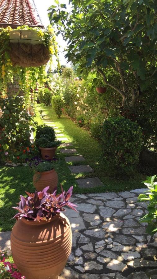 Villa Tina Country Beach Apartments Acharavi (Corfu) Exterior foto