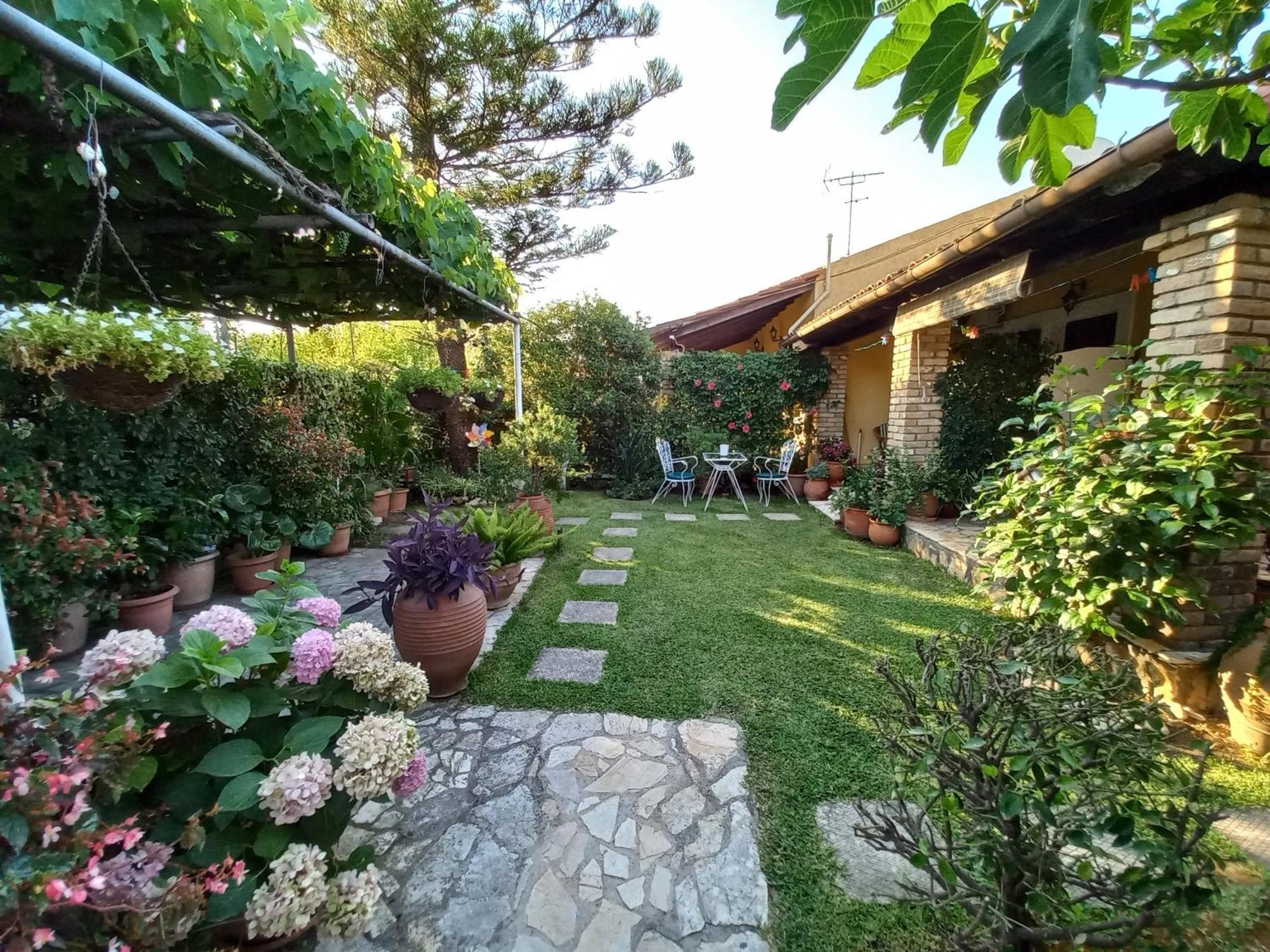 Villa Tina Country Beach Apartments Acharavi (Corfu) Quarto foto