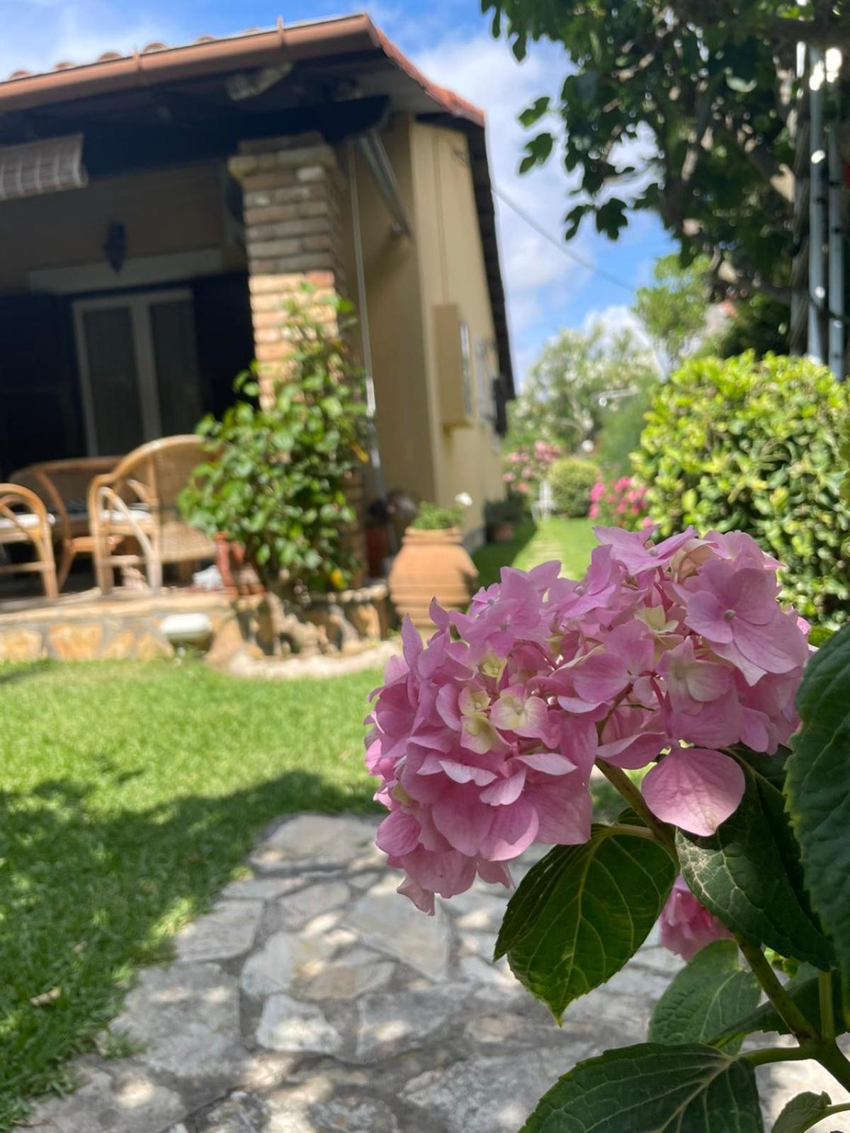 Villa Tina Country Beach Apartments Acharavi (Corfu) Quarto foto