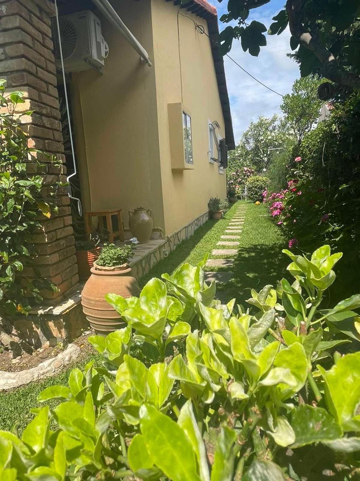 Villa Tina Country Beach Apartments Acharavi (Corfu) Quarto foto