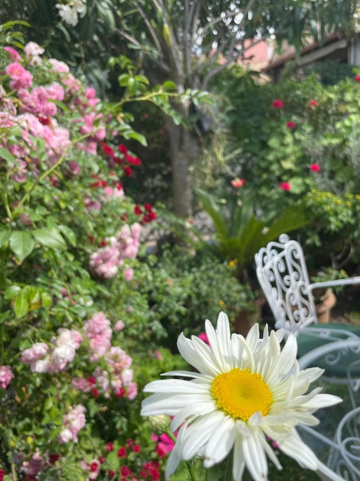 Villa Tina Country Beach Apartments Acharavi (Corfu) Quarto foto