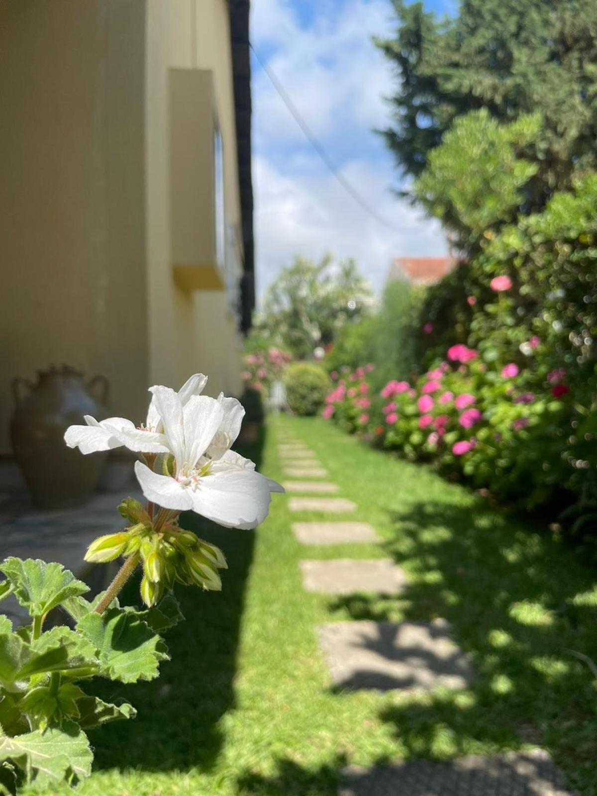 Villa Tina Country Beach Apartments Acharavi (Corfu) Quarto foto