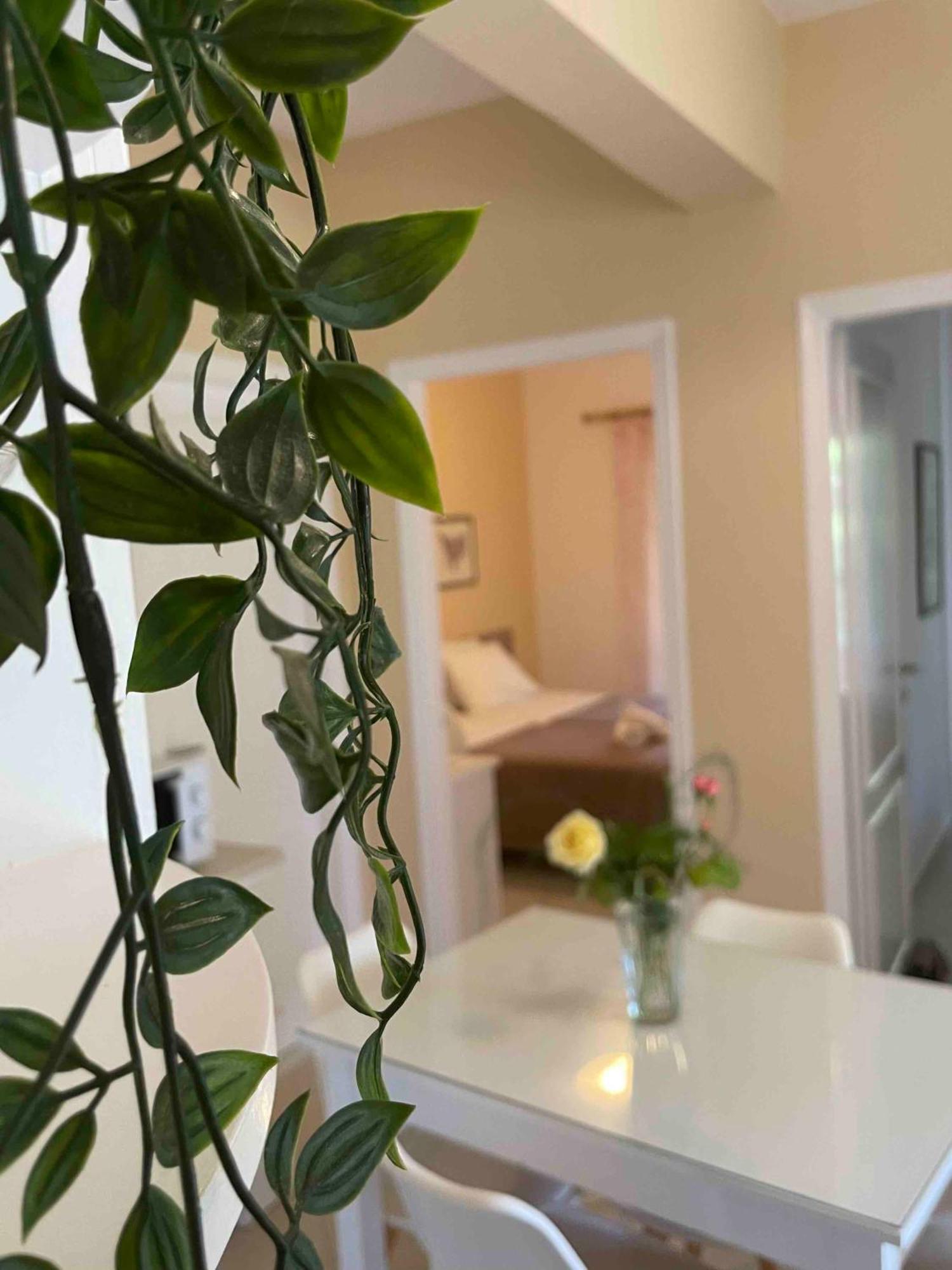 Villa Tina Country Beach Apartments Acharavi (Corfu) Quarto foto