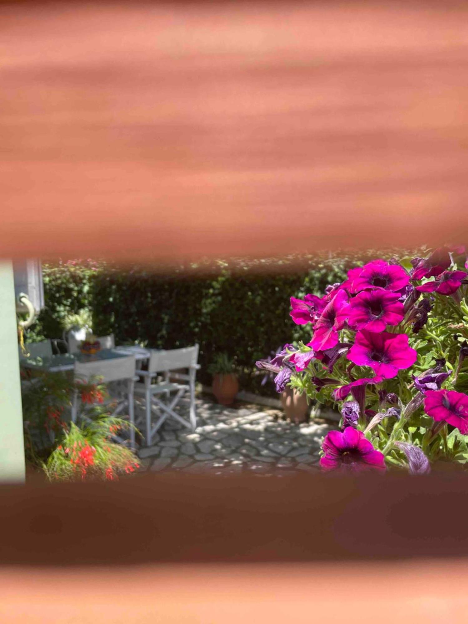 Villa Tina Country Beach Apartments Acharavi (Corfu) Quarto foto