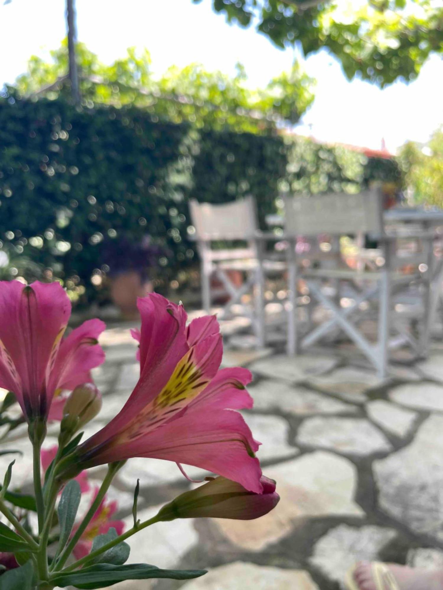 Villa Tina Country Beach Apartments Acharavi (Corfu) Quarto foto